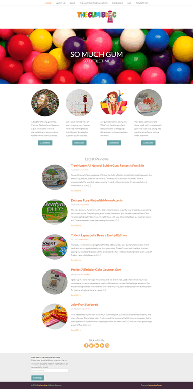Hummingbird Marketing Services Portfolio: Seattle Healing Today