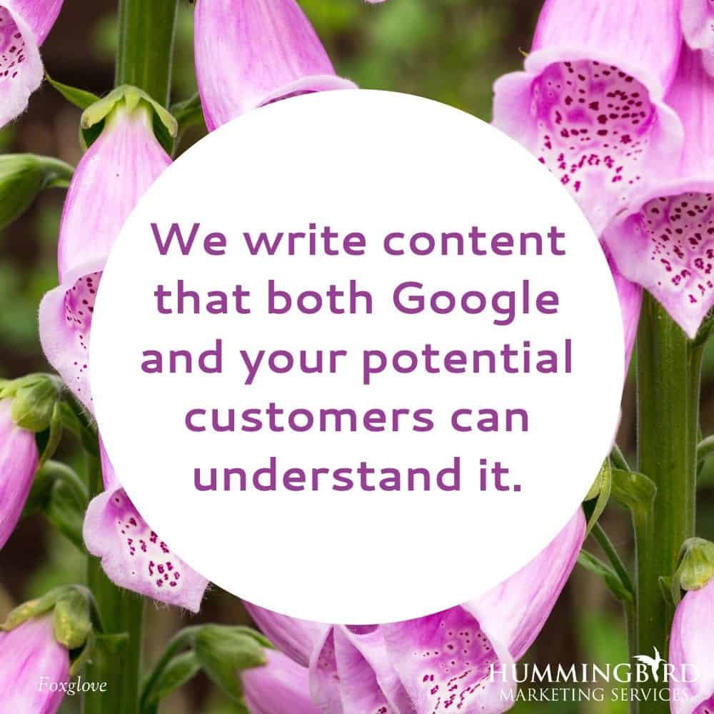 Hummingbird Marketing Services — Content Writing in Seattle and Cleveland