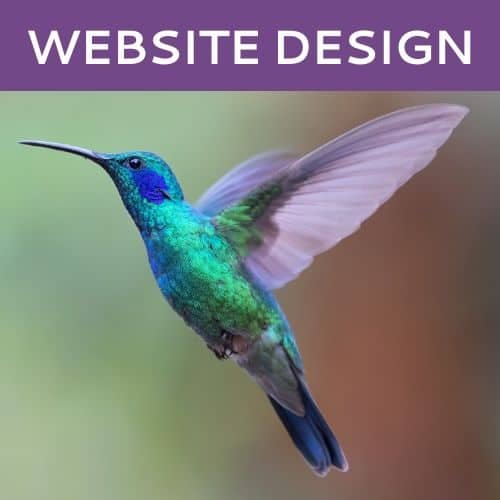 Website Design by Hummingbird Marketing in Seattle and Cleveland