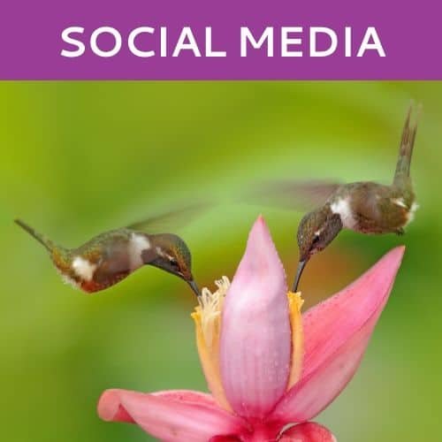 Social Media Marketing by Hummingbird Marketing in Seattle and Cleveland