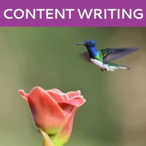 Content Writing by Hummingbird Marketing in Seattle and Cleveland