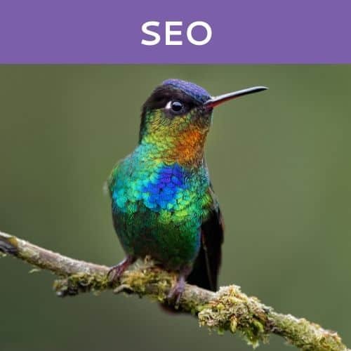 SEO by Hummingbird Marketing in Seattle and Cleveland