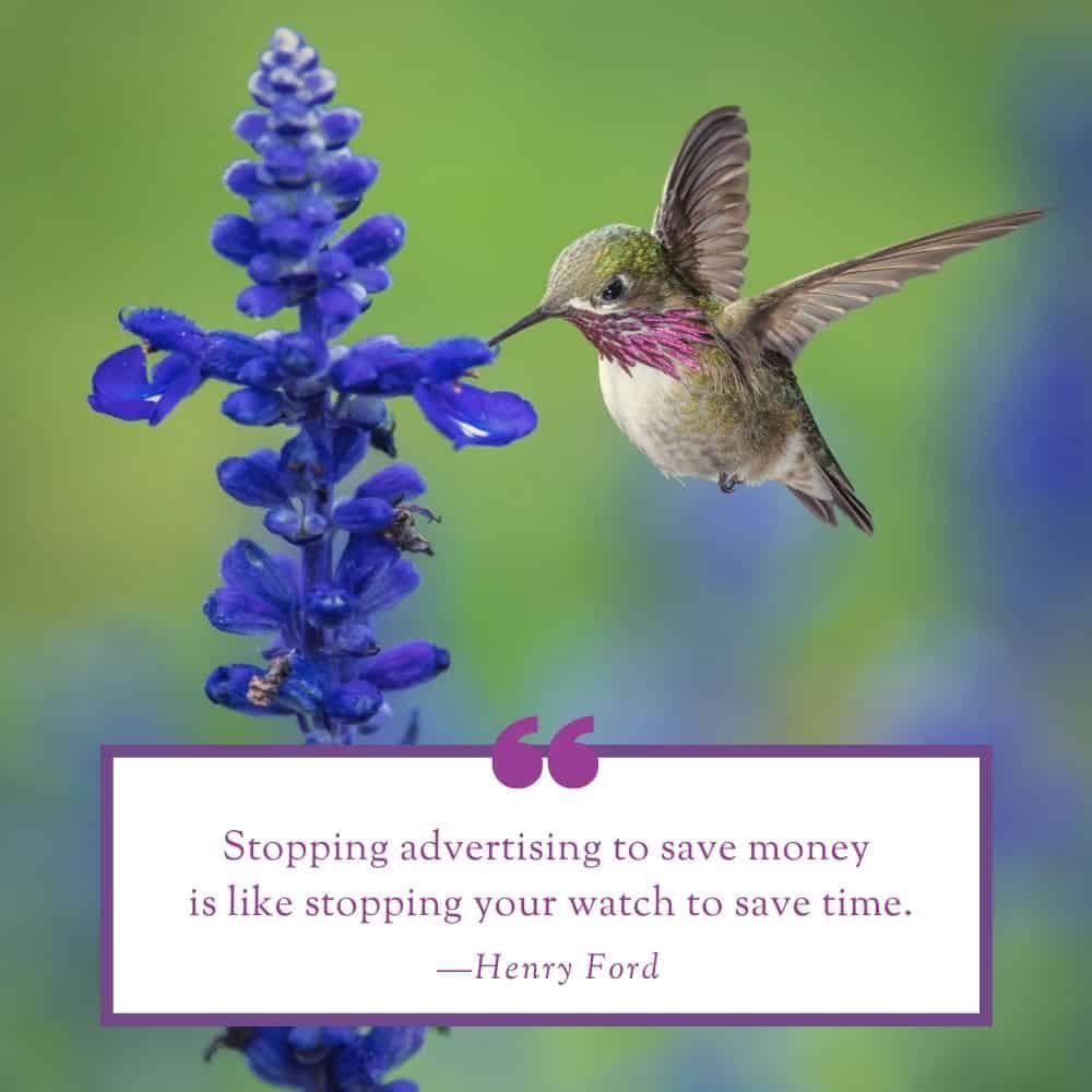 Online Advertising by Hummingbird Marketing in Seattle and Cleveland