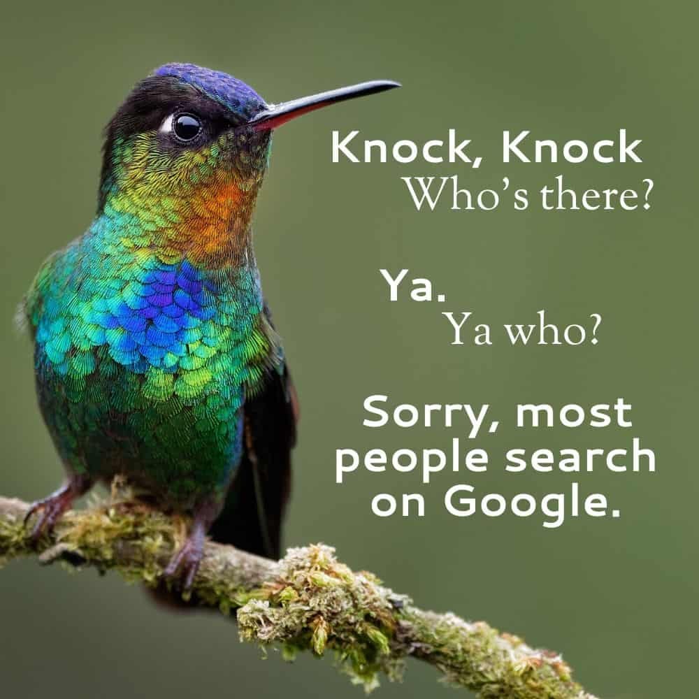 SEO by Hummingbird Marketing in Seattle and Cleveland