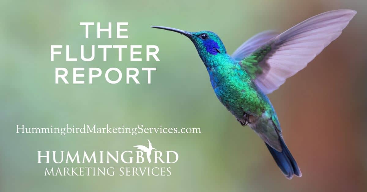 The Flutter Report | Hummingbird Marketing Services