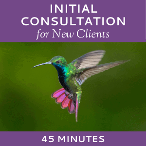 Schedule an Initial Consultation with Hummingbird Marketing Services (for New Clients)