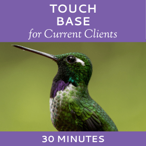 Schedule a Touch Base with Hummingbird Marketing Services (for Current Clients)