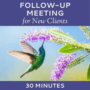 Schedule a Follow-up Meeting with Hummingbird Marketing Services (for New Clients)