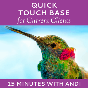 Schedule a Quick Touch Base with Andi Lucas of Hummingbird Marketing Services (for Current Clients)