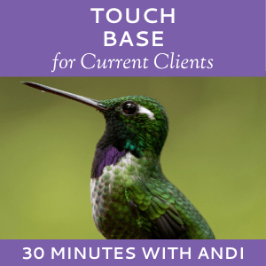 Schedule a Touch Base with Andi Lucas of Hummingbird Marketing Services (for Current Clients)