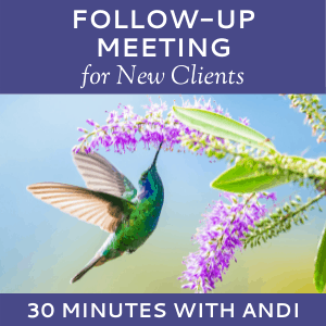 Schedule a Follow-up Meeting with Andi Lucas of Hummingbird Marketing Services (for New Clients)