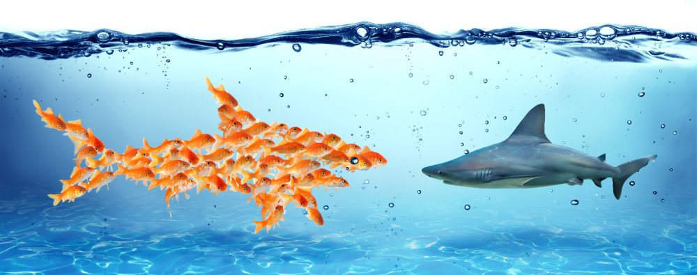 When we're swimming among the big sharks, us small business owners need to help support each other swim not sink.