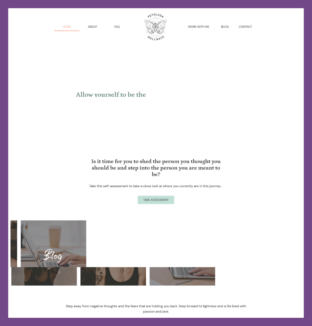 Petaluda Wellness Website BEFORE Working with Hummingbird Marketing Services