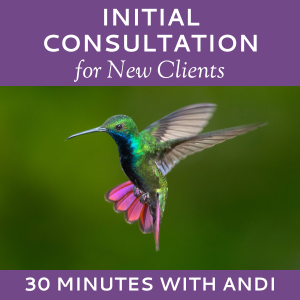 Schedule an Initial Consultation for New Clients with Andi Lucas