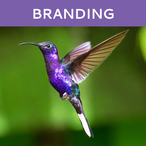 Branding by Hummingbird Marketing in Seattle and Cleveland