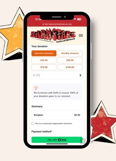 Barn Stars Animal Rescue, stunning retro website design by Hummingbird Marketing Services in Seattle