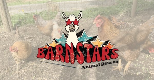 Barn Stars Animal Rescue Logo, Designed by Hummingbird Marketing Services