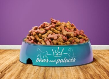 Paws and Palaces Food Bowl Branding, designed by Hummingbird Marketing Services in Seattle
