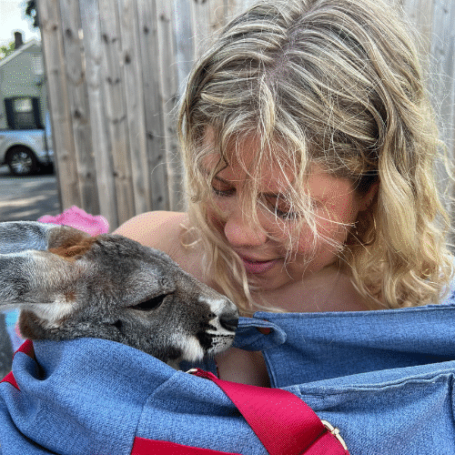 Joey and Me • Sarah Fils-Aime, Hummingbird Marketing Services