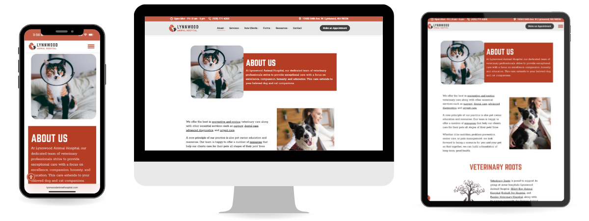 All-three-sizes_HIRE-vs-DIY-Web-Design_Blog