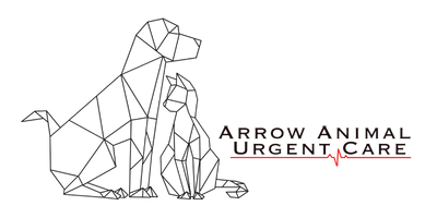 Arrow Animal Urgent Care | Web Design by Hummingbird Marketing Services