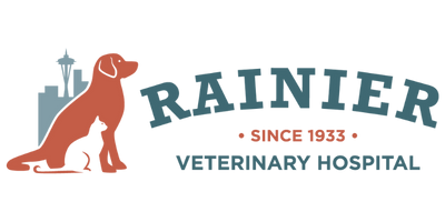 Rainier Vet Hospital | Web Design by Hummingbird Marketing Services