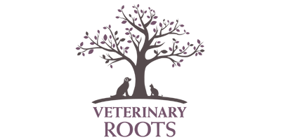 Vet Roots | Web Design by Hummingbird Marketing Services
