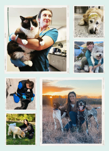 Arrow Animal Urgent Care Vet Website, showcasing the compassionate, talented staff — website designed by Hummingbird Marketing Services in Seattle