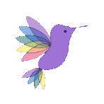 Hummingbird Marketing Services — Web Design, Social Media, Branding, Content Writing, SEO, and Other Digital Marketing