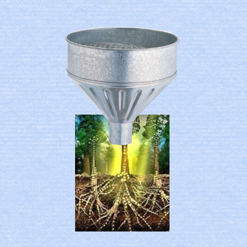 Pair images together to create new meaning.