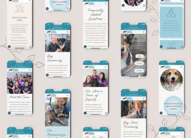 Hippie Hounds Website Shown on Mobile, dog grooming website designed by Hummingbird Marketing Services in Seattle