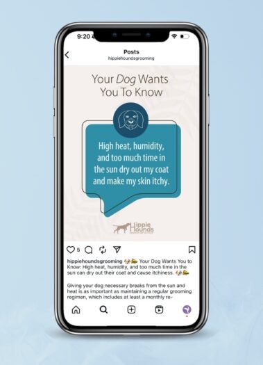 Hippie Hounds Dog Grooming Social Media Management by Hummingbird Marketing Services in Seattle