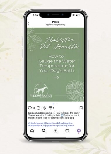 Hippie Hounds Dog Grooming Social Media Management by Hummingbird Marketing Services in Seattle