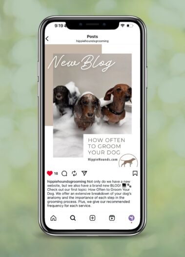 Hippie Hounds Dog Grooming Social Media Management by Hummingbird Marketing Services in Seattle