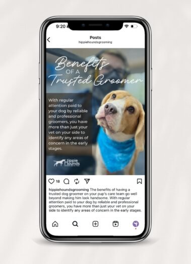Hippie Hounds Dog Grooming Social Media Management by Hummingbird Marketing Services in Seattle