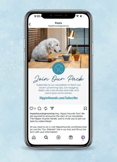 Hippie Hounds Dog Grooming Social Media Management by Hummingbird Marketing Services in Seattle