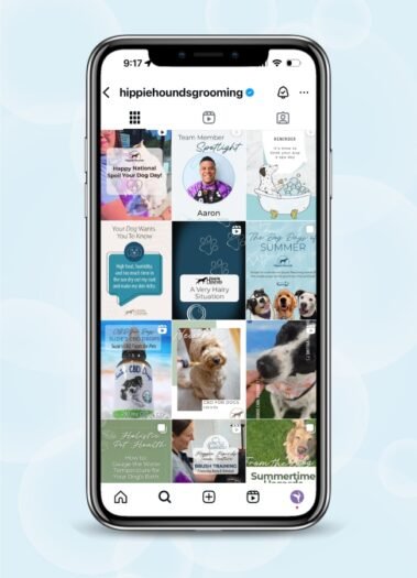 Hippie Hounds Dog Grooming Social Media Management by Hummingbird Marketing Services in Seattle