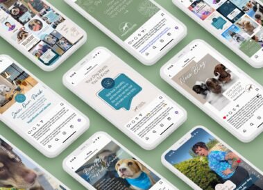 Hippie Hounds Dog Grooming Social Media Management by Hummingbird Marketing Services in Seattle