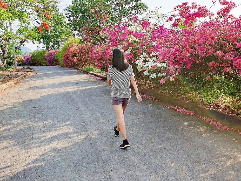 Commiting to an easy habit, like going for a daily walk can help form a better routine. A tip from the blog, How to Avoid Burnout, Writer’s Block, and Creative Slumps by Hummingbird Marketing Services.