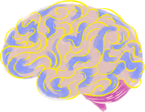 A cartoon drawing of brain with purple, pink, and yellow