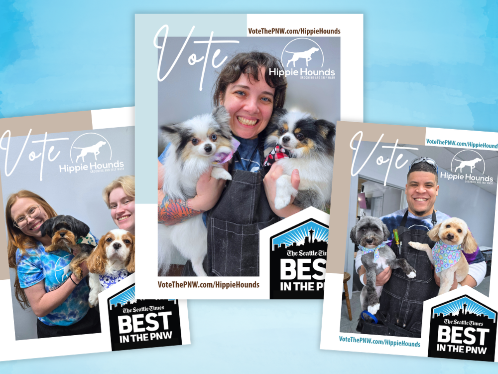 Three screenshots showing examples of social posts for Hippie Hounds to encourage voting in the Best in the PNW